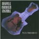 Nashville Mandolin Ensemble - Plectrasonics