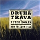 Druhá Tráva & Peter Rowan - New Freedom Bell